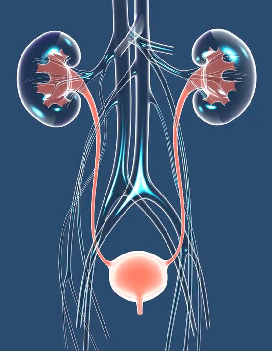 Ilustrao de sade masculina saudvel